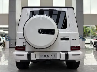 Mercedes-Benz G-Class 2020, 104000 км, за 174805.32 USD - фото 16