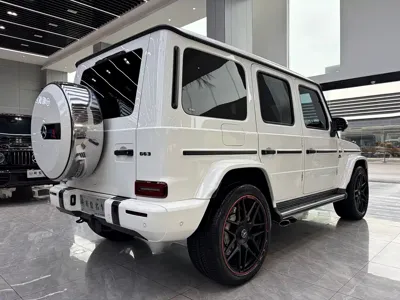 Mercedes-Benz G-Class 2020, 104000 км, за 174805.32 USD - фото 17