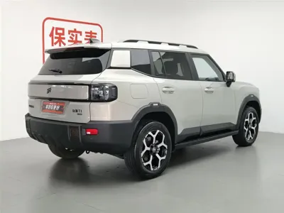 Shanhai Shanhai T1 2025, 5300 км, за 16450.53 USD