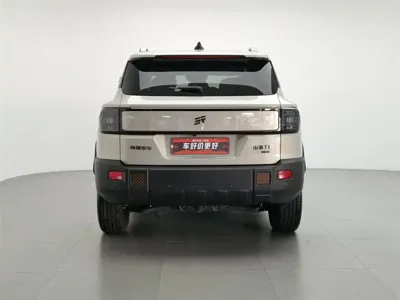 Shanhai Shanhai T1 2025, 5300 км, за 16450.53 USD
