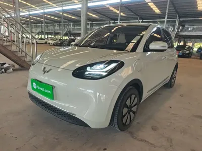 Wuling Bingo · 2024 год