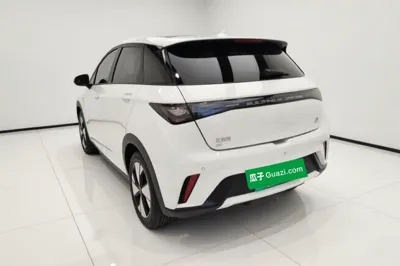 BYD Dolphin 2023, 34000 км, за 11326 USD