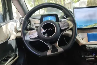 BYD Dolphin 2023, 34000 км, за 11326 USD - фото 9